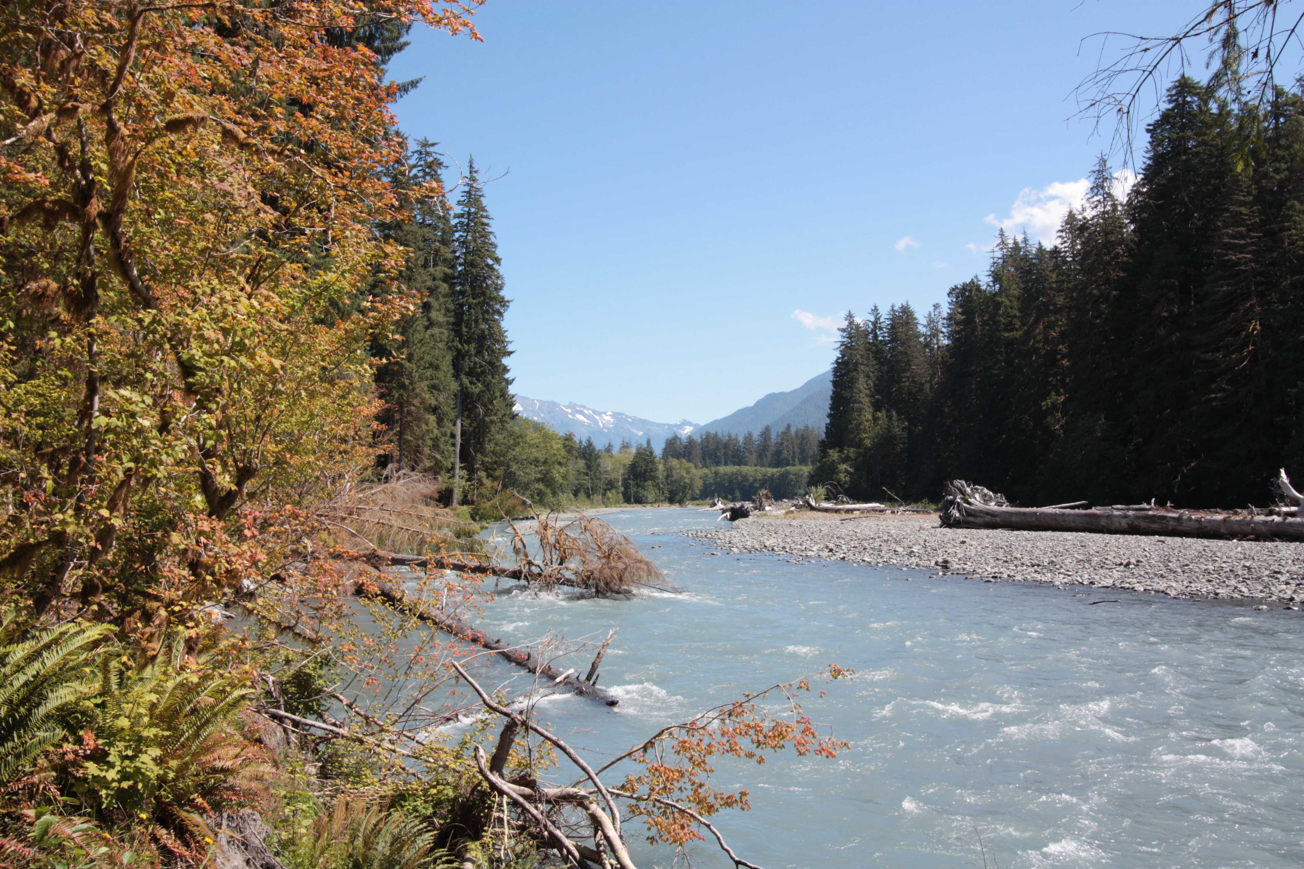Olympic NP